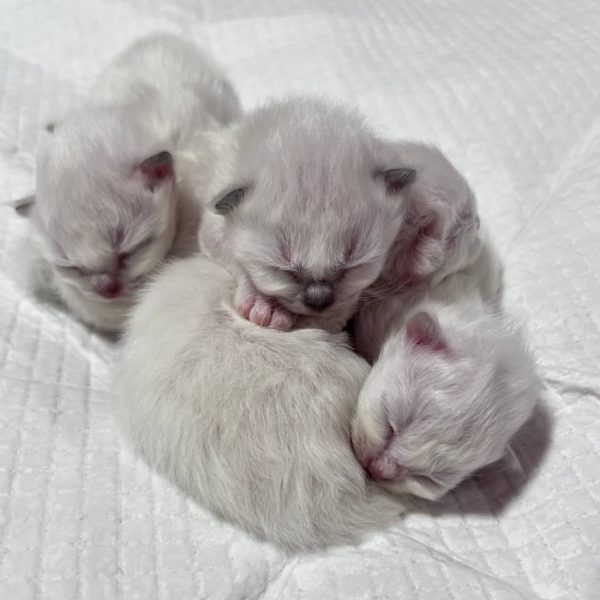 5850539506866967316
